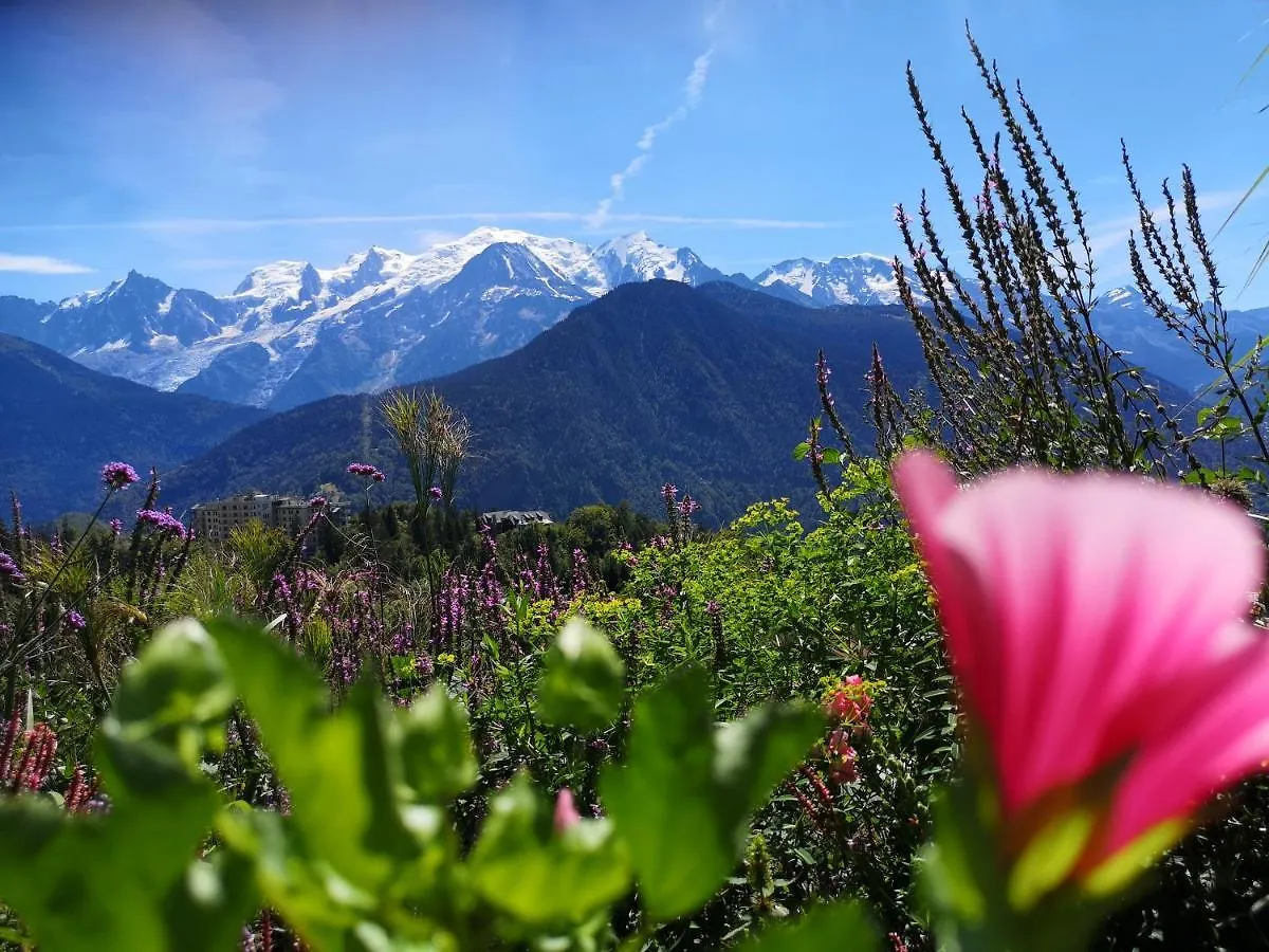 Duo Des Alpages Vue Exceptionnelle Sur Le Mont Blc Lägenhet Saint-Gervais-les-Bains Frankrike