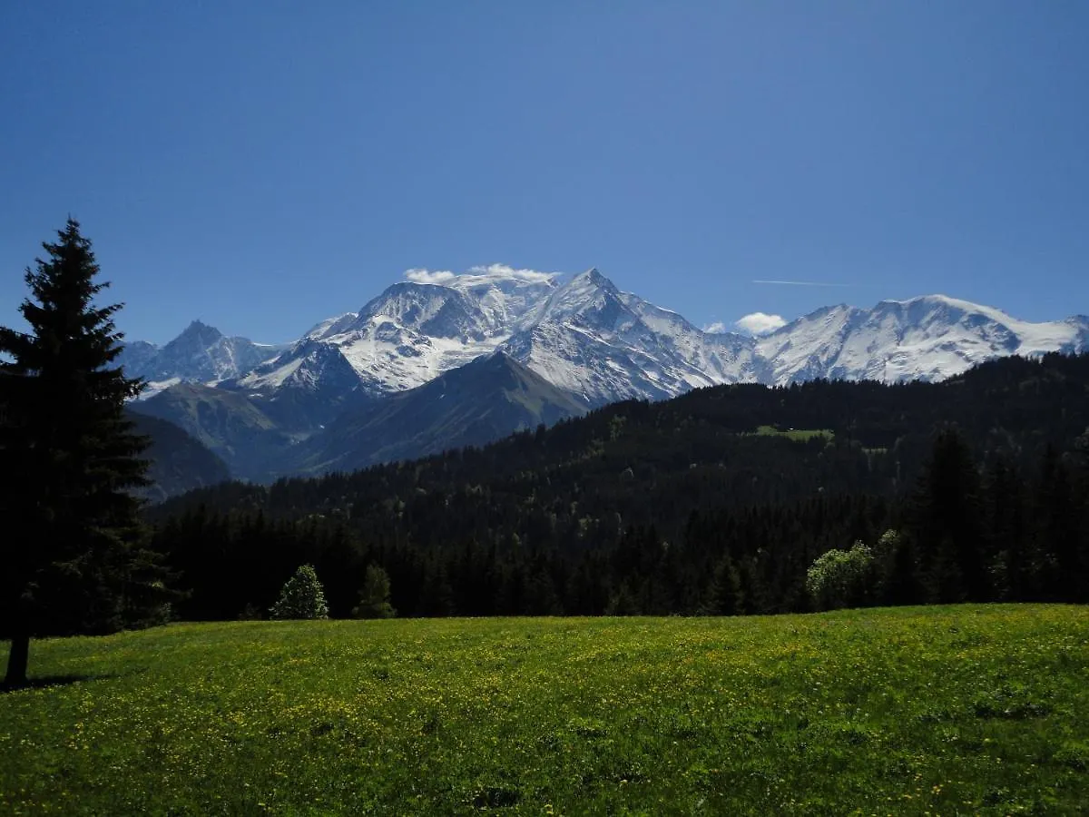 Duo Des Alpages Vue Exceptionnelle Sur Le Mont Blc Lägenhet Saint-Gervais-les-Bains